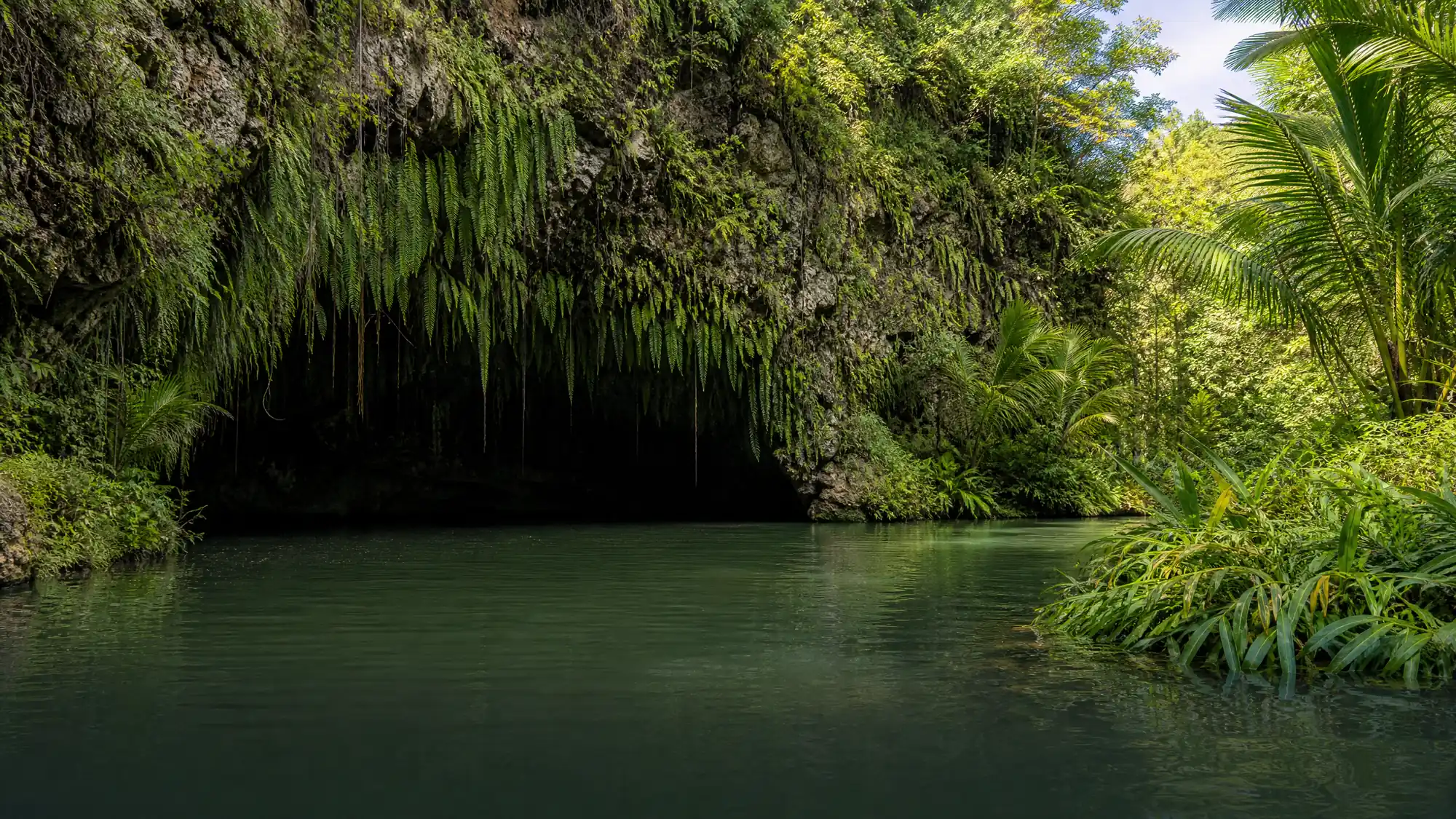 Fahren Sie zwei Meilen flussaufwärts auf Hawaiis einzigem schiffbaren Fluss, um eine mit tropischen Farnen bewachsene Lavasteinhöhle zu erreichen.