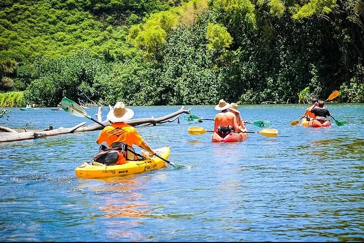 Group of people kayaking on a river surrounded by lush greenery.