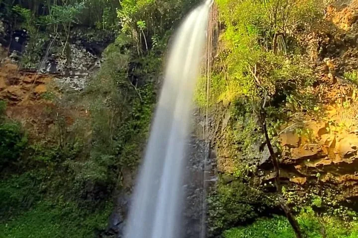 Ein hoher Wasserfall, der inmitten von Grün eine felsige Klippe hinabstürzt.