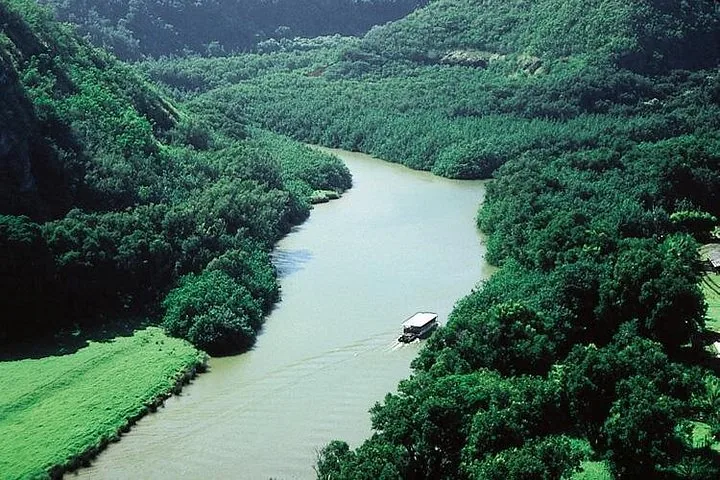 Luftaufnahme eines Ausflugsboots, das einen breiten, bewaldeten Fluss entlangfährt.
